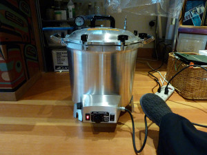 Home Mushroom Lab, Tofino, BC, Canada