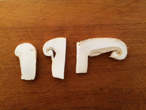 Pine mushrooms, Sunshine Coast, BC, Canada