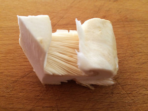 Pine mushrooms, Sunshine Coast, BC, Canada