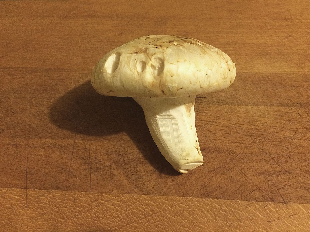 pine mushrooms 0721