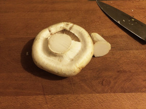 Pine mushrooms, Sunshine Coast, BC, Canada