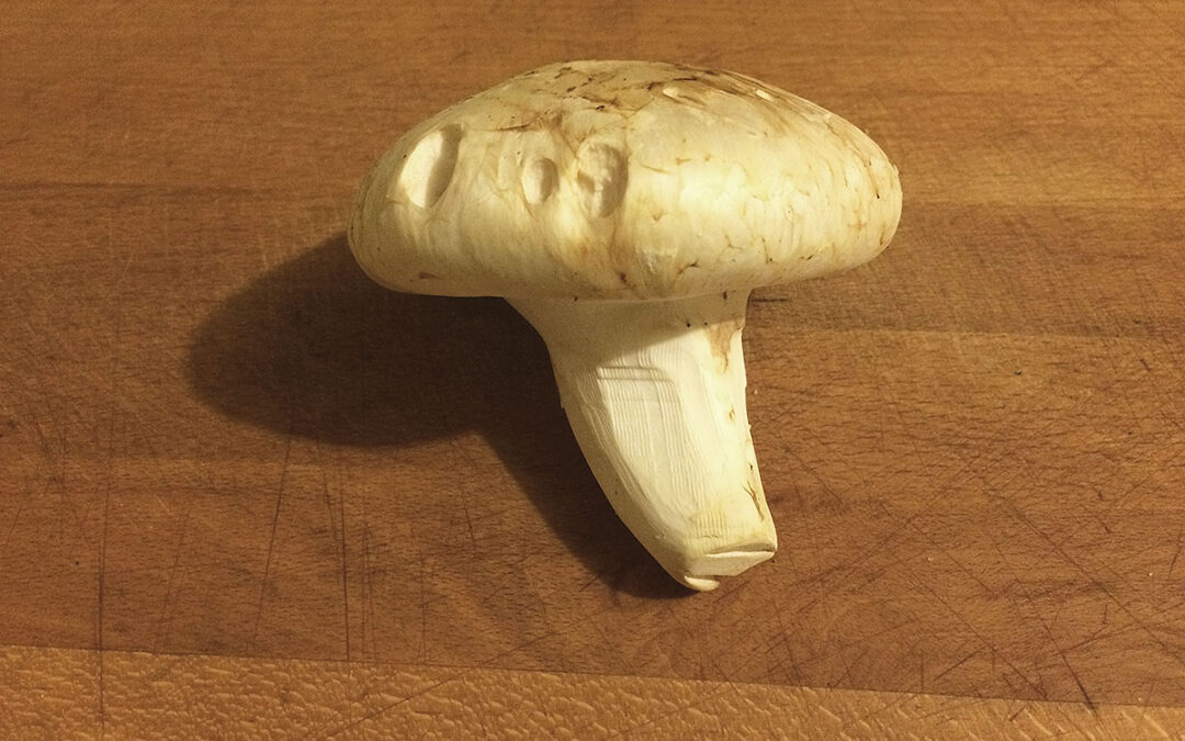 pine mushrooms 0721